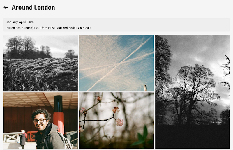 An individual album page, showing the album title, description, and a grid of photos.
